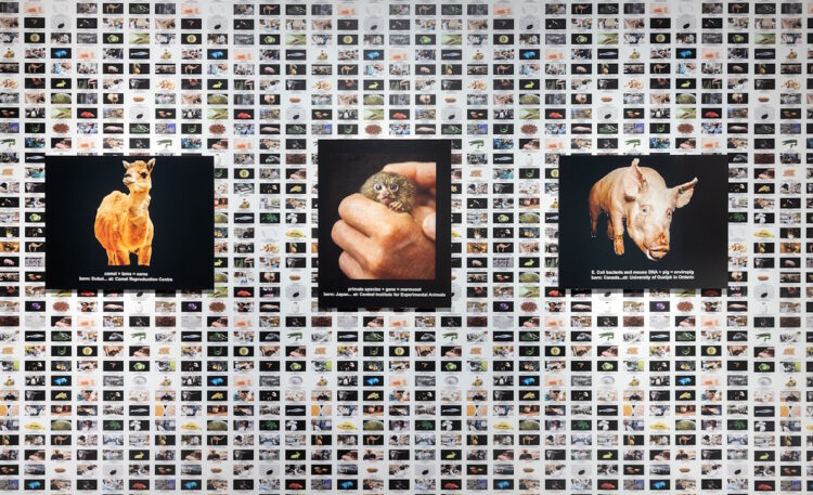 12.Hershmann-Leeson 12.Hershmann-Leeson