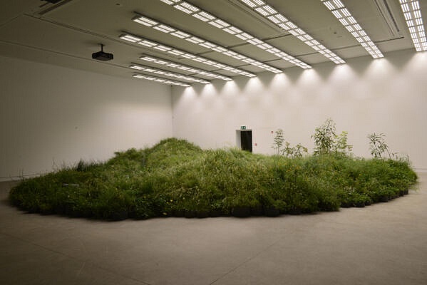 Australia (©Elena Franco)