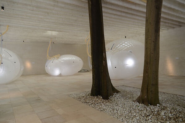 Paesi Nordici (©Elena Franco)