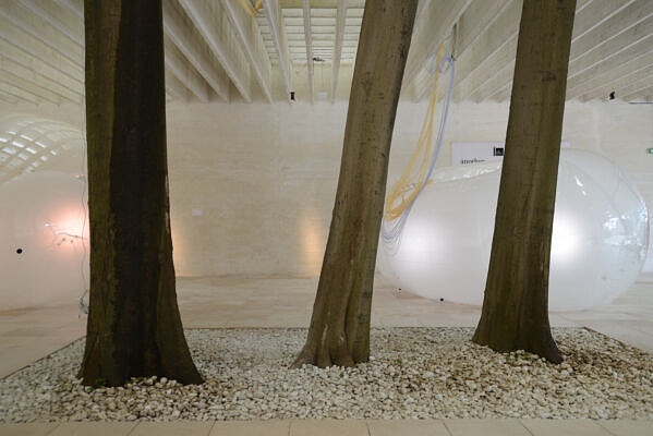 Paesi Nordici (©Elena Franco)