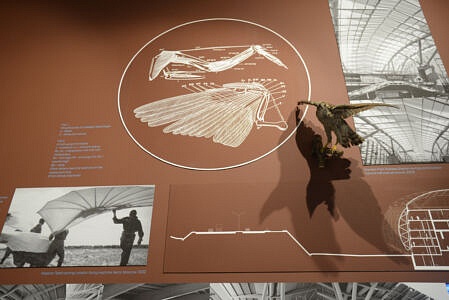 Russia (©Elena Franco)