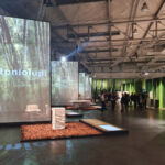 Marmomac 2019, Brand&stone