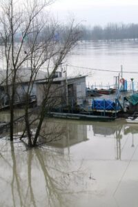 Il Po in piena (foto Annamaria Bondovalli)